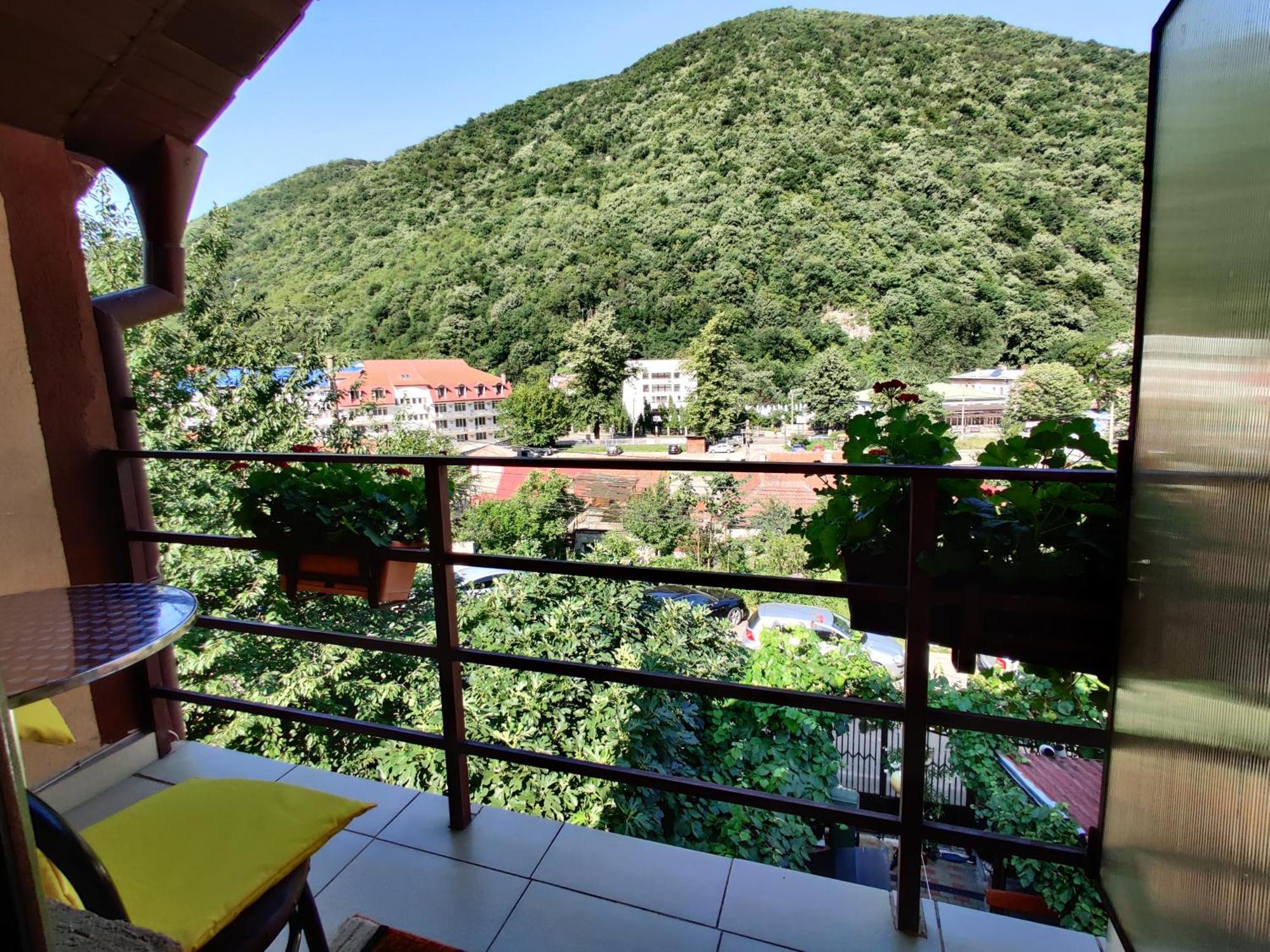 Casa Miclau Leilighet Băile Herculane Rom bilde